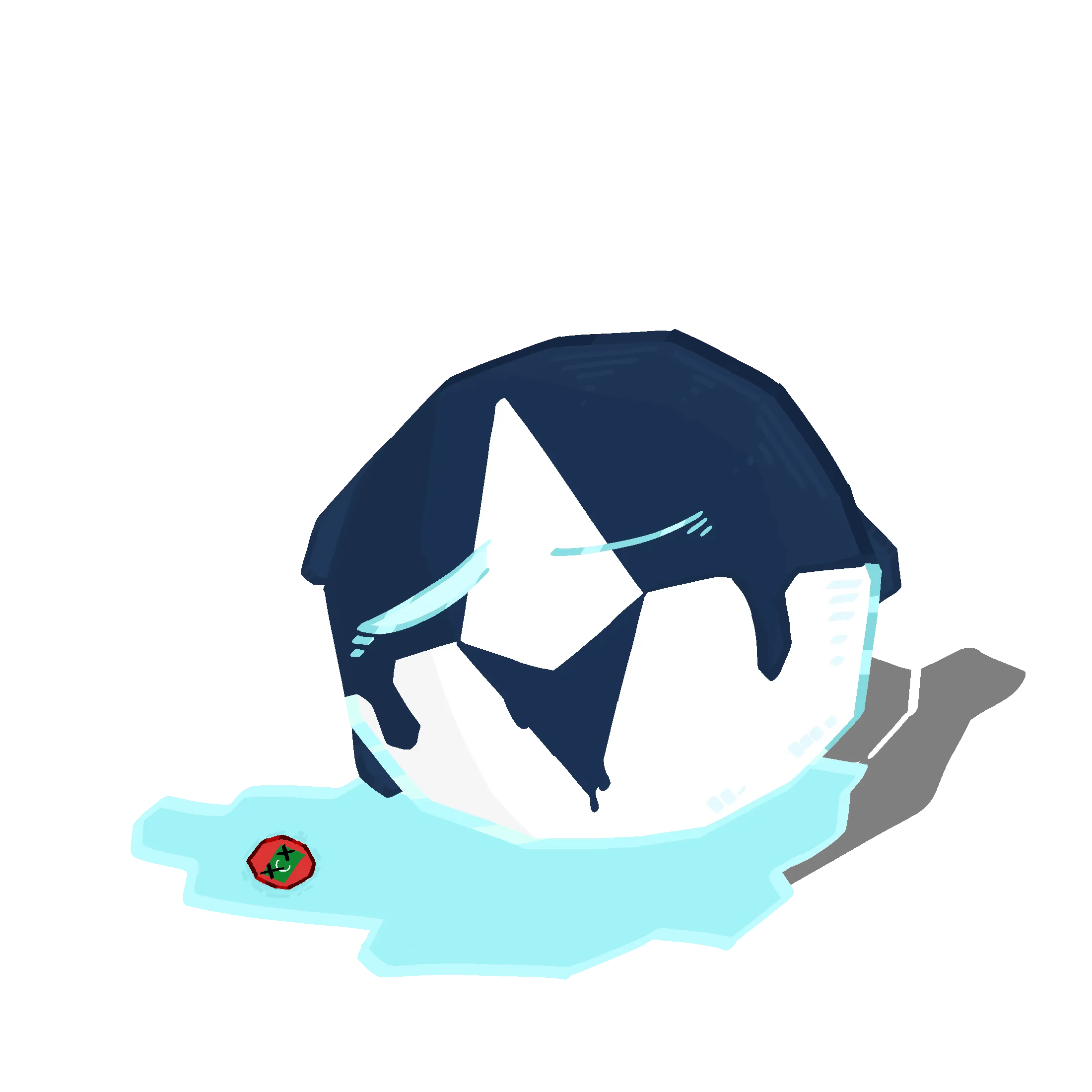 Summer Melt Antarctica
