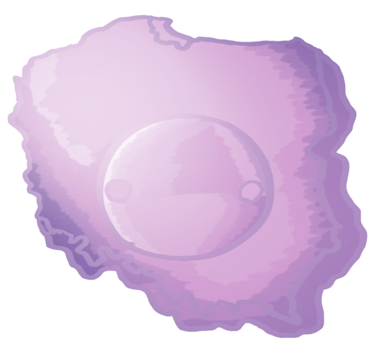 Platinum Clay